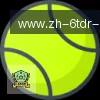 6T体育 logo